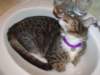 dsc05226_small.jpg