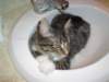 dsc05230_small.jpg