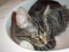 dsc05233_small.jpg