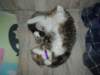 dsc05234_small.jpg