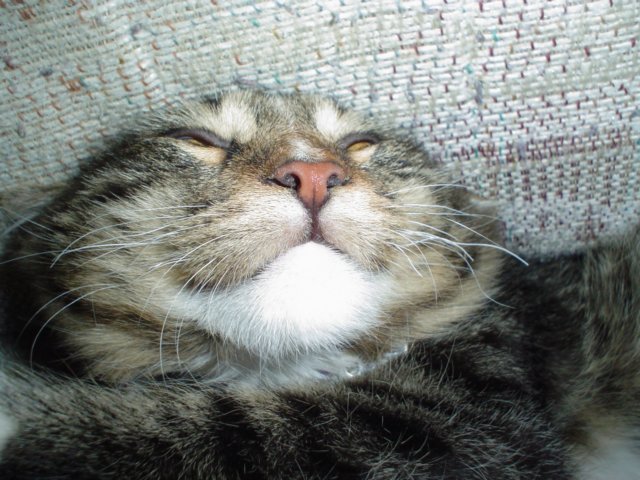 dsc05237.jpg