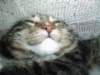 dsc05237_small.jpg
