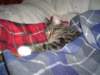 dsc05255_small.jpg