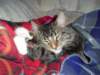 dsc05256_small.jpg