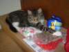 dsc05266_small.jpg