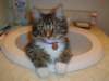 dsc05270_small.jpg