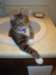 dsc05273_small.jpg