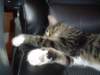 dsc05285_small.jpg