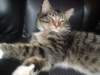 dsc05286_small.jpg