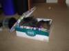 dsc05374_small.jpg