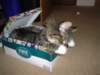 dsc05375_small.jpg