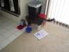 dsc05444_small.jpg