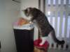 dsc05447_small.jpg