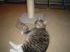 dsc05450_small.jpg