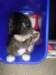 dsc05452_small.jpg