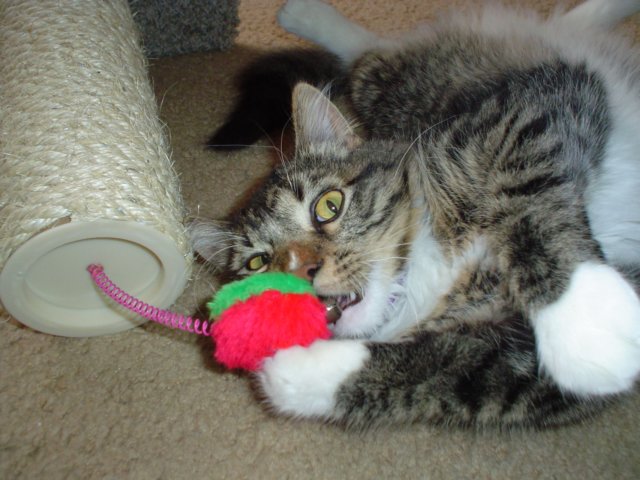 dsc05461.jpg