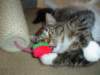 dsc05461_small.jpg