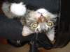 dsc05462_small.jpg