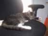 dsc05467_small.jpg