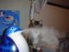 dsc05473_small.jpg
