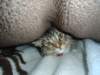dsc05474_small.jpg