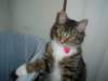 dsc05477_small.jpg