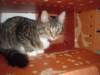 dsc05596_small.jpg