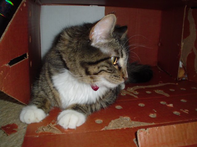 dsc05597.jpg