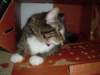 dsc05597_small.jpg