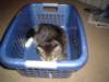 dsc05648_small.jpg