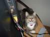 dsc05654_small.jpg