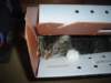 dsc05682_small.jpg