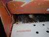 dsc05683_small.jpg