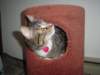 dsc05685_small.jpg