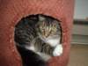 dsc05687_small.jpg