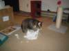 dsc05693_small.jpg