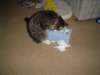 dsc05751_small.jpg