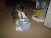 dsc05752_small.jpg