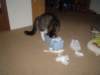 dsc05753_small.jpg
