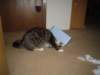 dsc05754_small.jpg