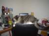 dsc05759_small.jpg