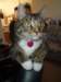 dsc05762_small.jpg
