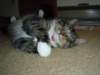 dsc05772_small.jpg
