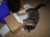 dsc05773_small.jpg