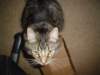 dsc05778_small.jpg