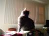 dsc05794_small.jpg