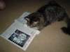 dsc05802_small.jpg