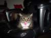 dsc05803_small.jpg