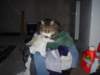 dsc08703_small.jpg