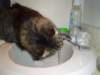 dsc08711_small.jpg